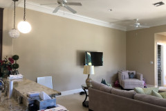 Before- Living Room